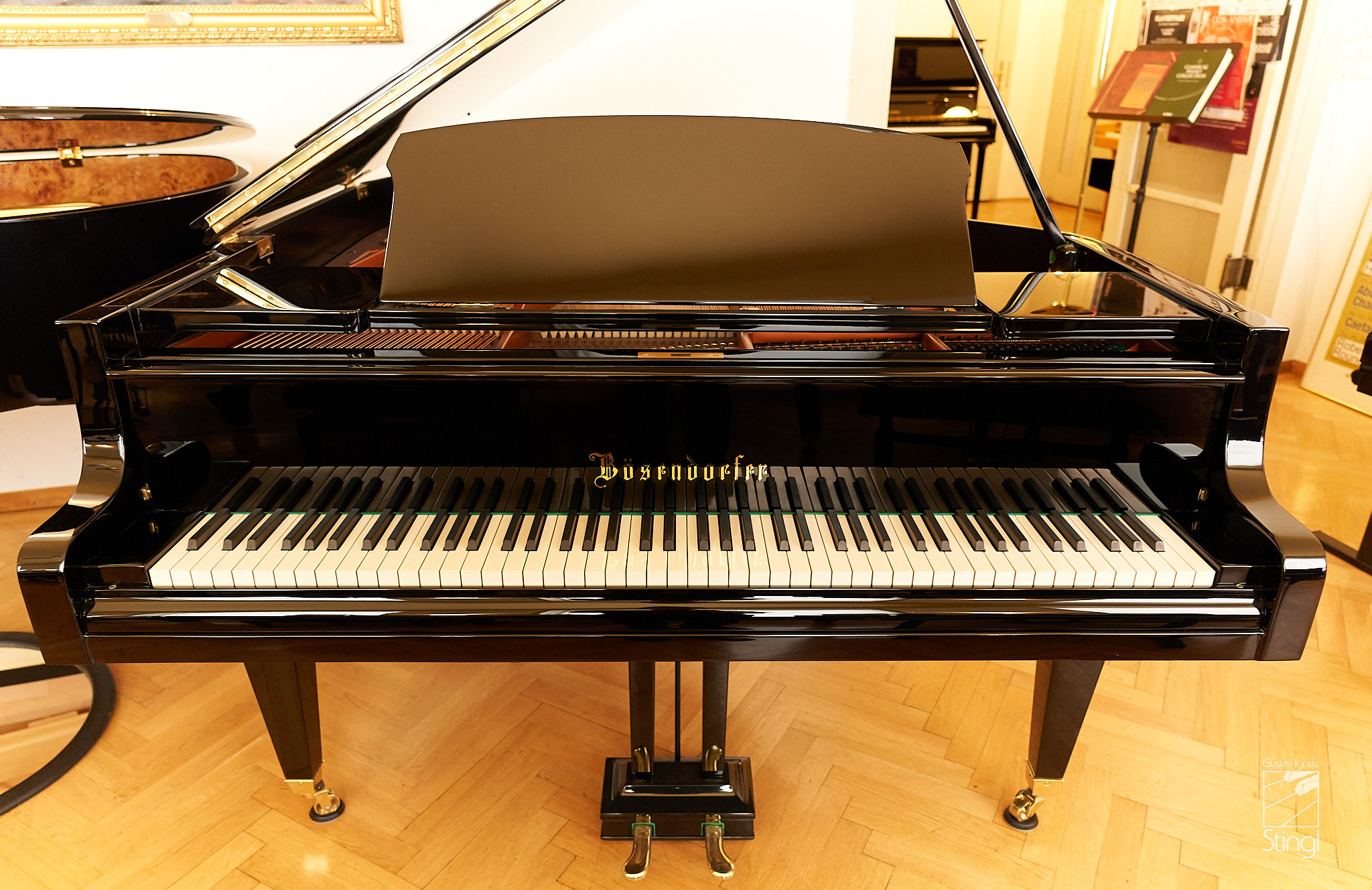 Einzelstück Bösendorfer