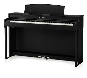 KAWAI CN301