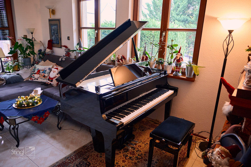 KAWAI NOVUS NV12 in Österreich kaufen